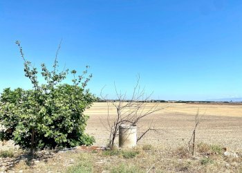 Foto 7 - Agricultural land LOCALITA' SAN GIUSTO, Lucera - photo 7