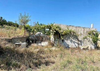 Foto 8 - Agricultural land LOCALITA' SAN GIUSTO, Lucera - photo 8