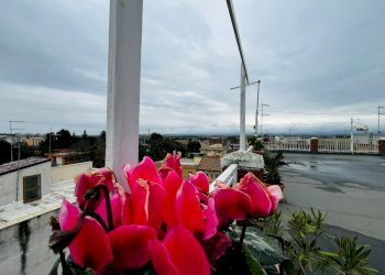 Foto 26 - Bilocale VIA MONTE SAN MICHELE, Lucera - foto 26