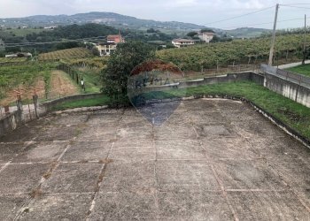 Vista delle montagne - Villa Torrecuso - foto 19