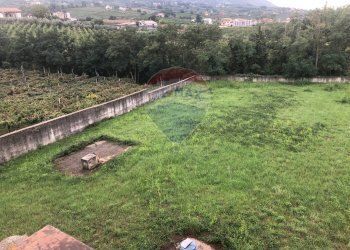 Giardino - Villa Torrecuso - foto 24