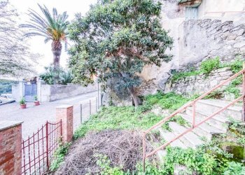 Giardino - Stabile - Palazzo Ceppaloni - foto 3