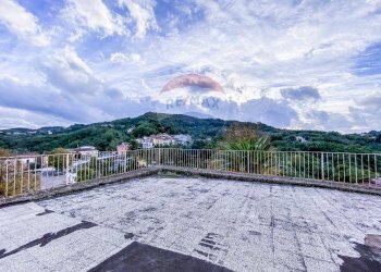Terrazza - Stabile - Palazzo Ceppaloni - foto 21