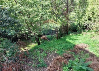 Giardino - Appartamento Ceppaloni - foto 30