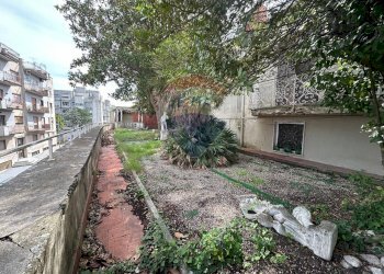 Giardino - Casa indipendente VIA NICCOLO FRANCO
 
59, Benevento - foto 10