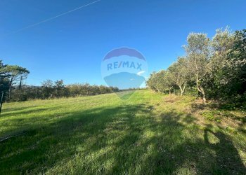 Giardino - Casa indipendente C/da Roseto
 
snc, Benevento - foto 25