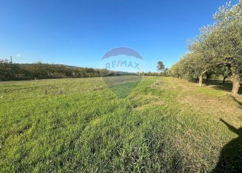 Giardino - Casa indipendente C/da Roseto
 
snc, Benevento - foto 26