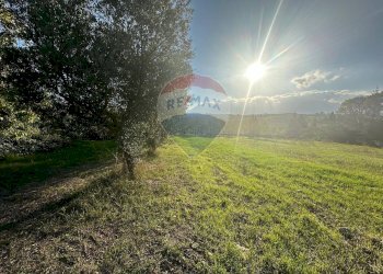 Giardino - Casa indipendente C/da Roseto
 
snc, Benevento - foto 27