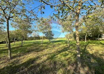 Giardino - Casa indipendente C/da Roseto
 
snc, Benevento - foto 31