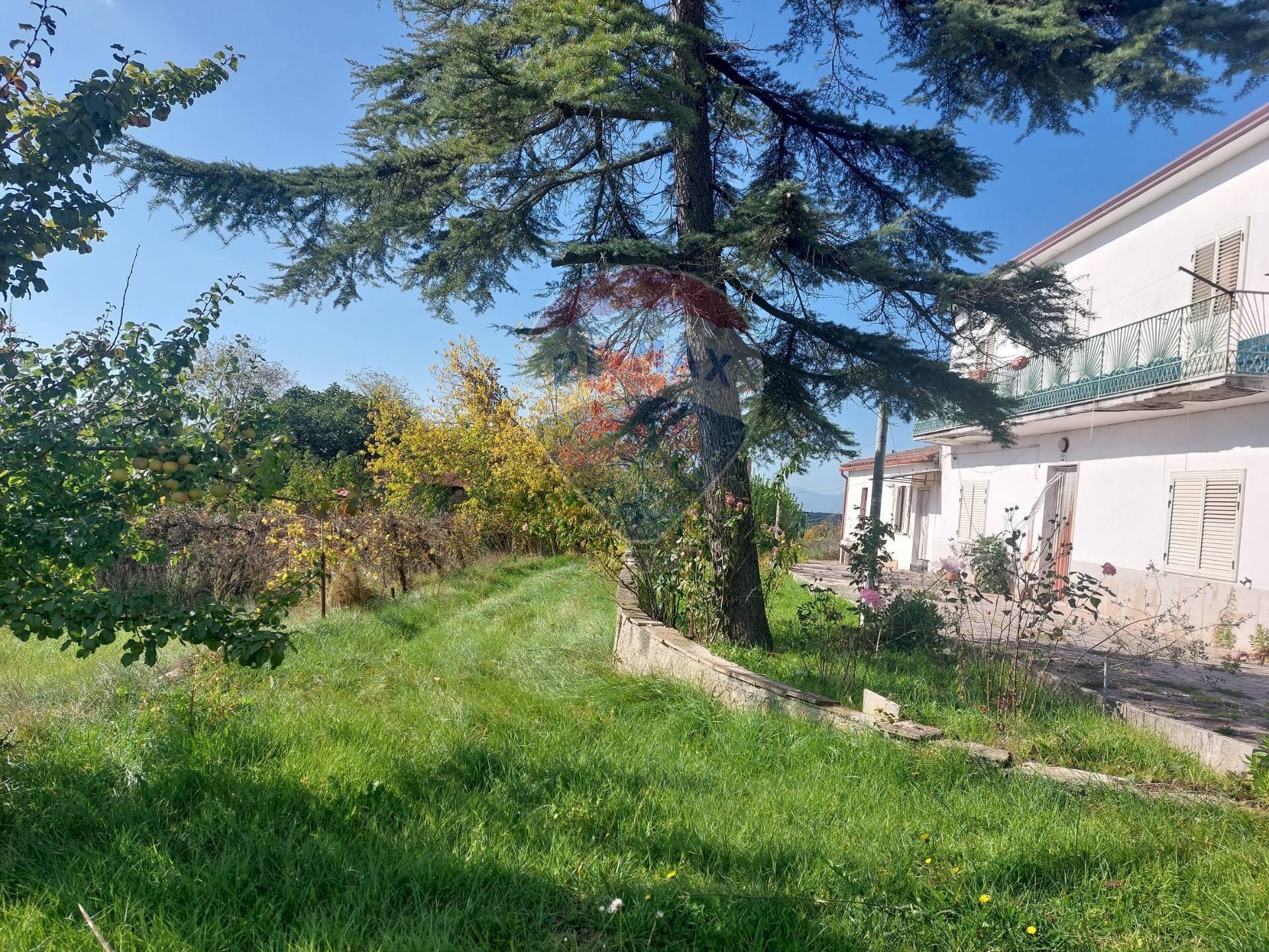 Giardino - Rustico Sant'Arcangelo Trimonte - foto 3