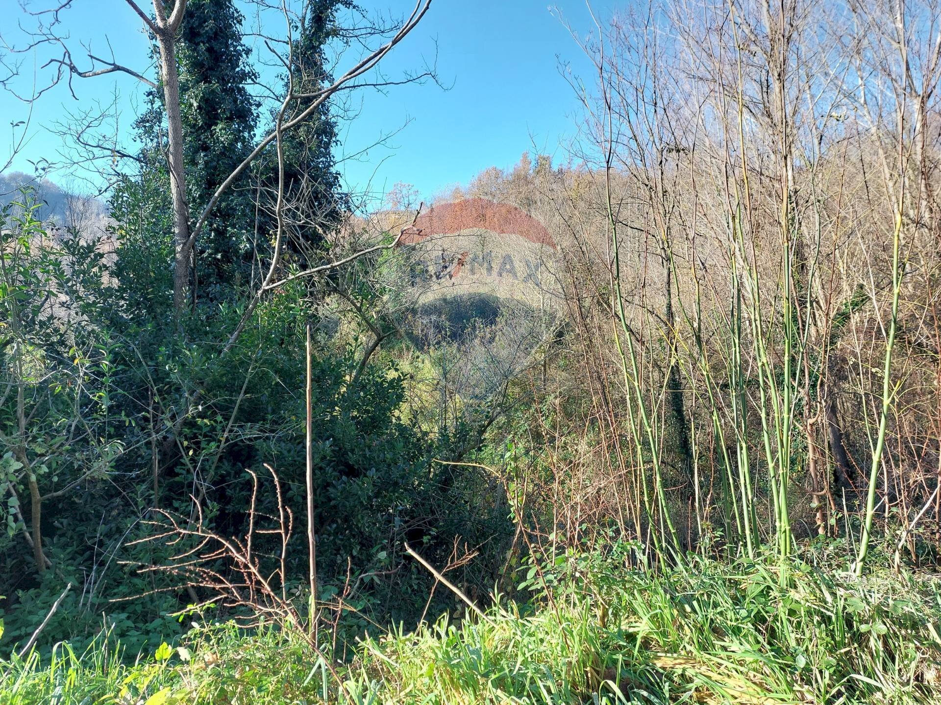 Non correlato - Terreno agricolo Ceppaloni - foto 1