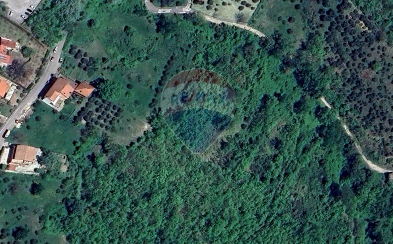 Posizione della mappa - Terreno agricolo Ceppaloni - foto 3