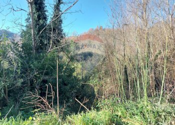 Non correlato - Terreno agricolo Ceppaloni - foto 1