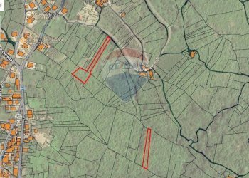 Pianta 2D - Terreno agricolo Ceppaloni - foto 4
