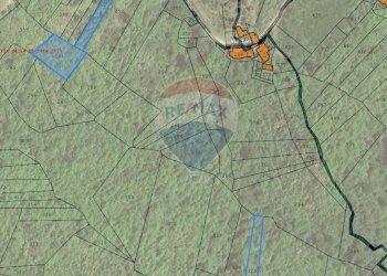 Pianta 2D - Terreno agricolo Ceppaloni - foto 5