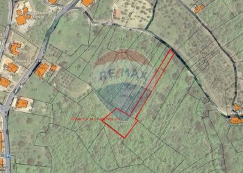 Pianta 2D - Terreno agricolo Ceppaloni - foto 6