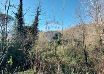 Vista delle montagne - Terreno agricolo Ceppaloni - foto 7