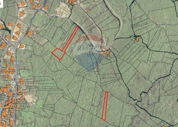 Pianta 2D - Terreno agricolo Ceppaloni - foto 9