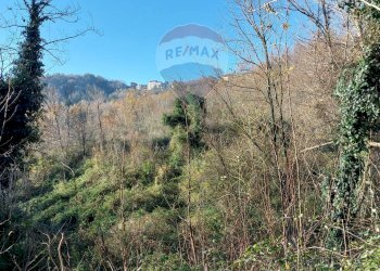 Vista delle montagne - Terreno agricolo Ceppaloni - foto 10