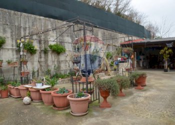 Terrazza - Independent house Montesarchio - photo 22