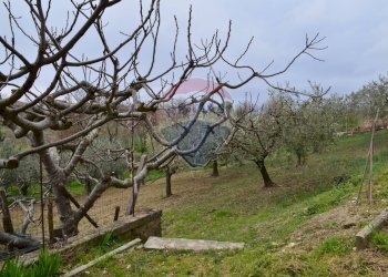 Giardino - Independent house Montesarchio - photo 30