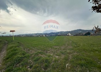 Giardino - Terreno agricolo San Leucio del Sannio - foto 3