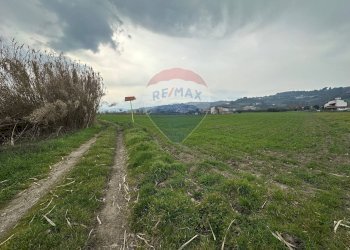 Giardino - Terreno agricolo San Leucio del Sannio - foto 5