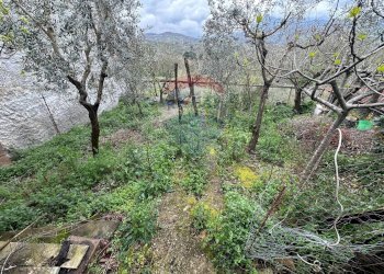 Giardino - Casa semi indipendente San Leucio del Sannio - foto 13