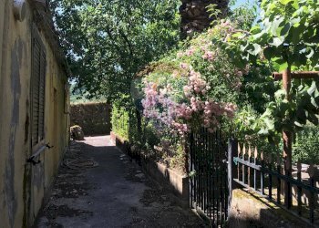 Edificio all\'aperto - Independent house via cesinali
 
snc, Apollosa - photo 7