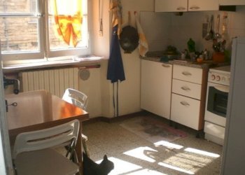 Foto 20 - Appartamento Viale Martiri della Libertà, Macerata - foto 20