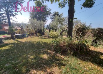 Foto 42 - Casa indipendente san Lorenzo di Treia, Treia - foto 42