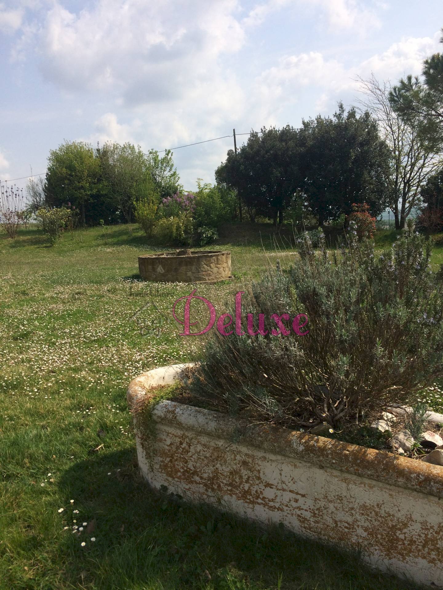 Foto 3 - Independent house contrada Piangiano, Treia - photo 3