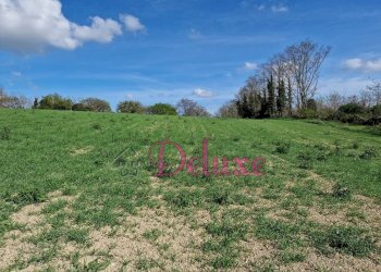 Foto 8 - Rustico contrada Valle, Macerata - foto 8