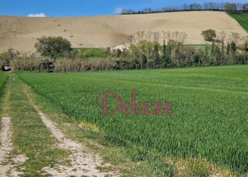 Foto 10 - Rustico contrada Valle, Macerata - foto 10