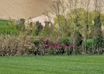 Foto 12 - Rustico contrada Valle, Macerata - foto 12