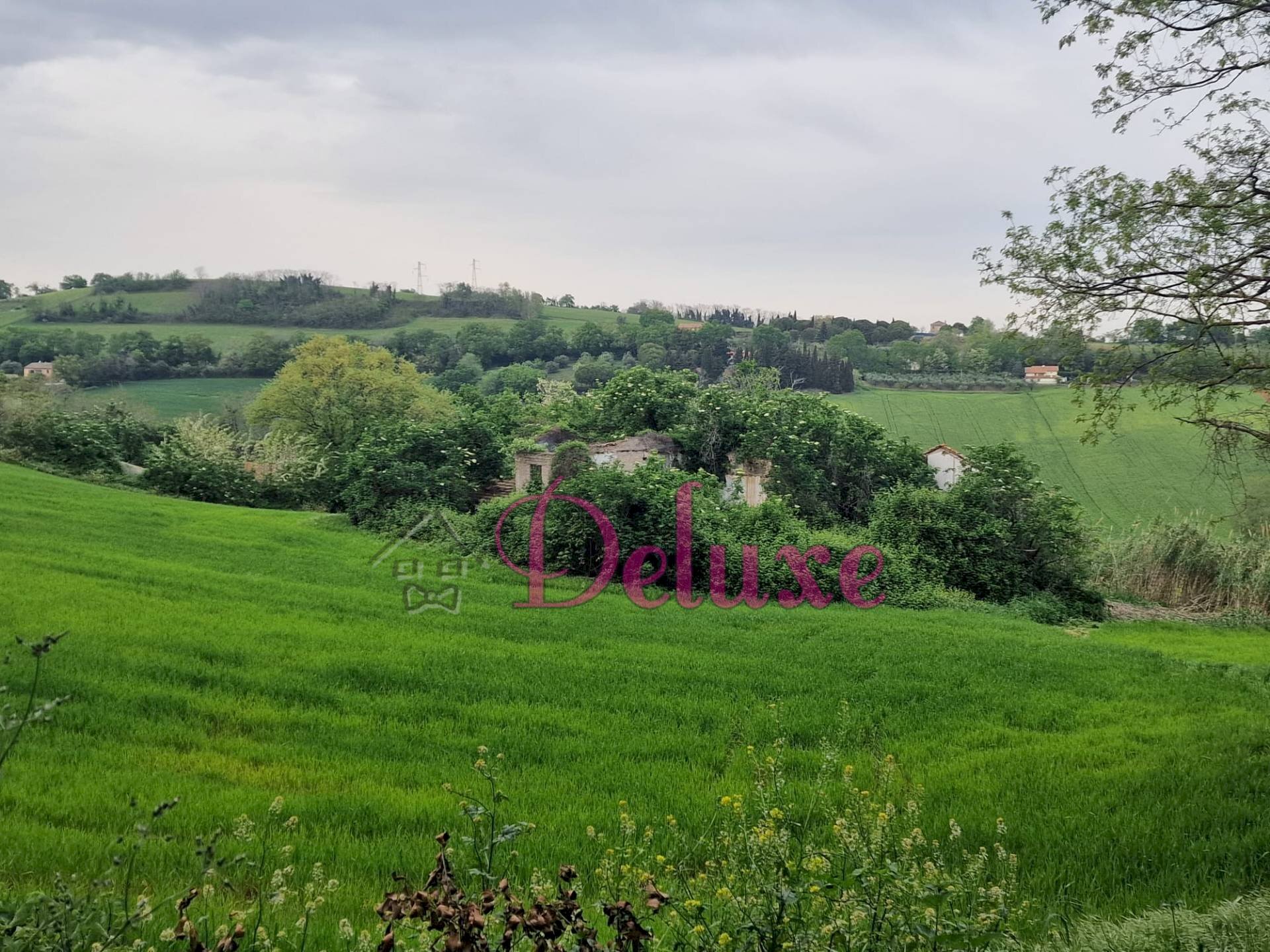 Foto 1 - Rustico contrada san Giacomo, Montecosaro - foto 1