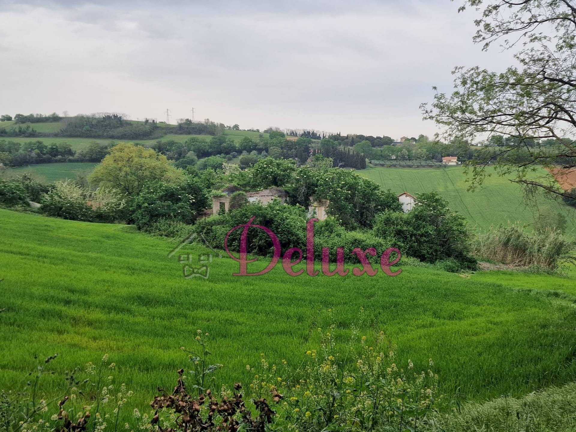 Foto 2 - Rustico contrada san Giacomo, Montecosaro - foto 2