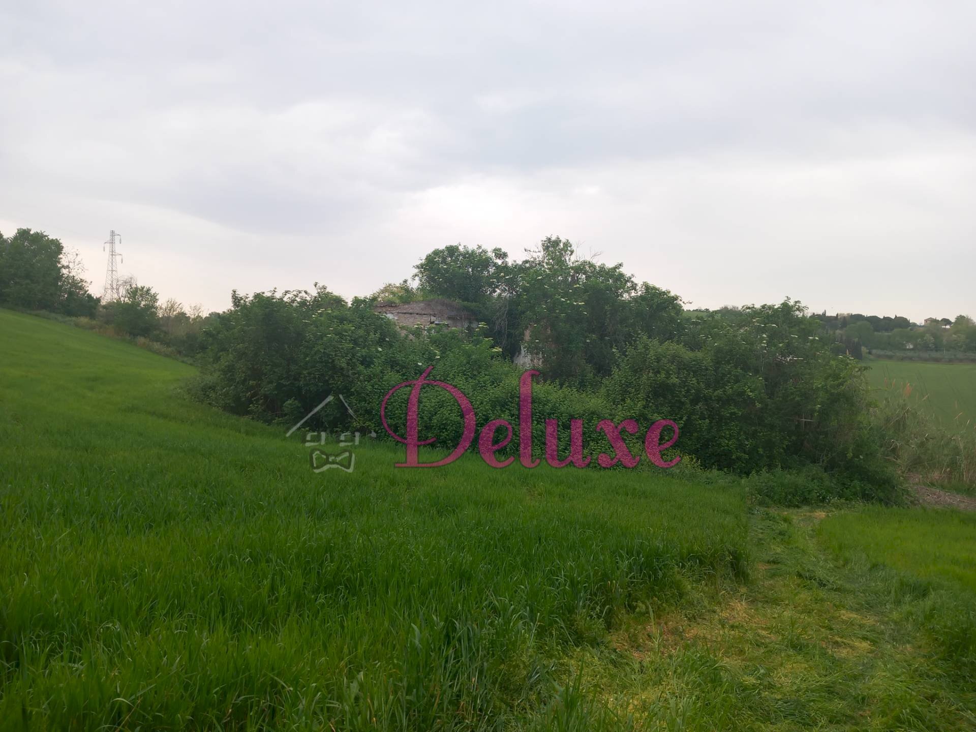 Foto 3 - Rustico contrada san Giacomo, Montecosaro - foto 3