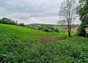 Foto 5 - Rustico contrada san Giacomo, Montecosaro - foto 5