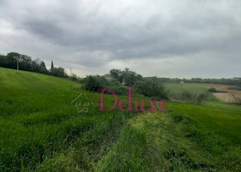 Foto 6 - Rustico contrada san Giacomo, Montecosaro - foto 6