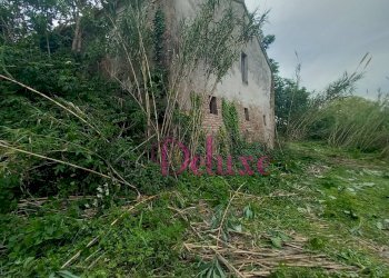 Foto 7 - Rustico contrada san Giacomo, Montecosaro - foto 7