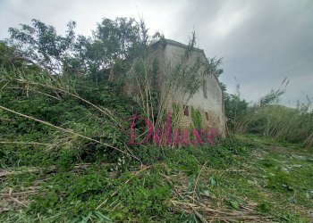 Foto 8 - Rustico contrada san Giacomo, Montecosaro - foto 8