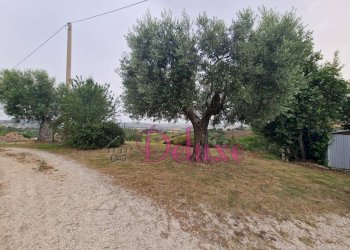 Foto 2 - Casa indipendente Contrada San Carlo, Treia - foto 2