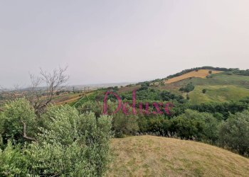 Foto 27 - Casa indipendente Contrada San Carlo, Treia - foto 27