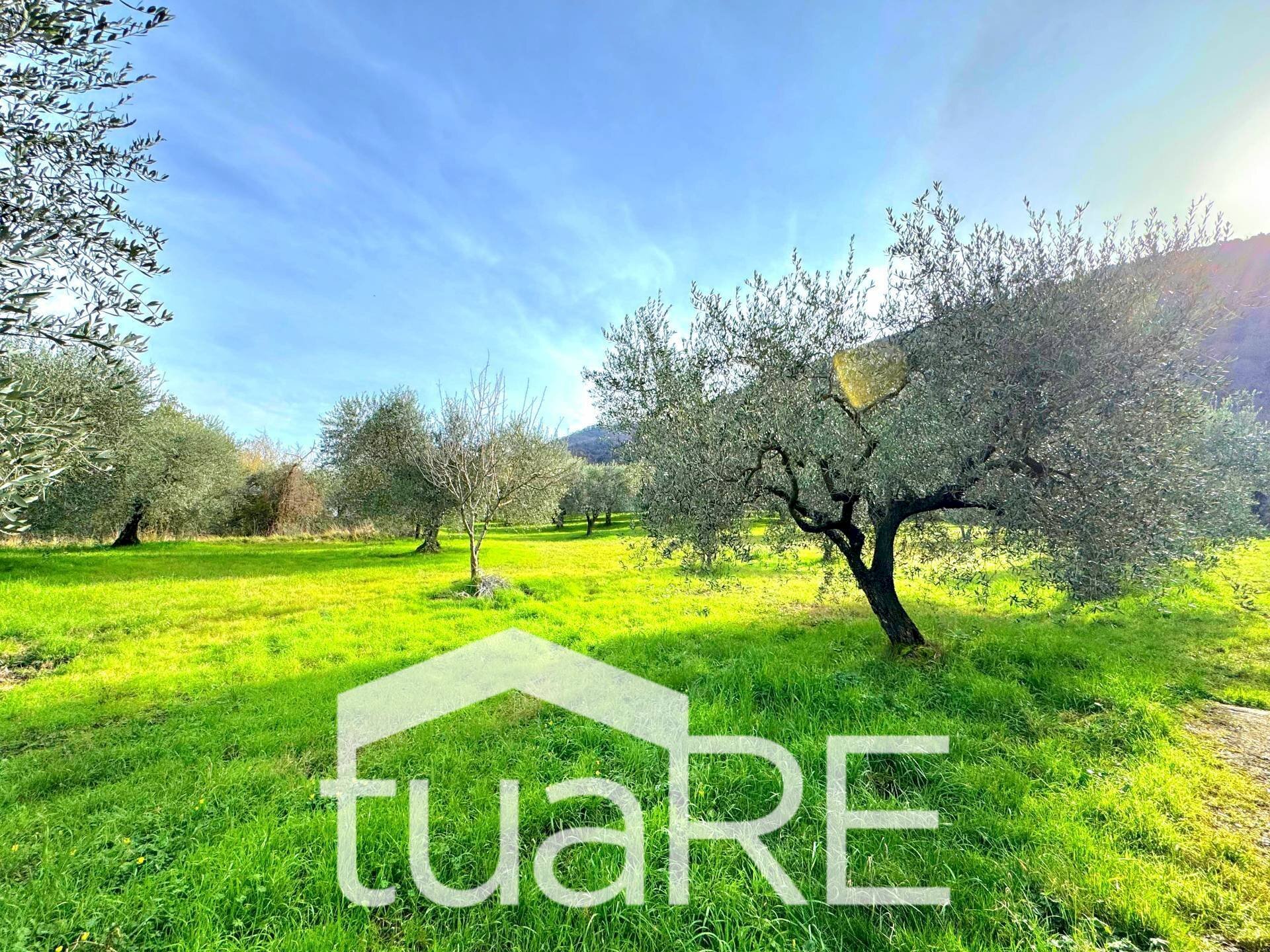 Foto 2 - Terreno edificabile via di valle caprara, Castel Madama - foto 2