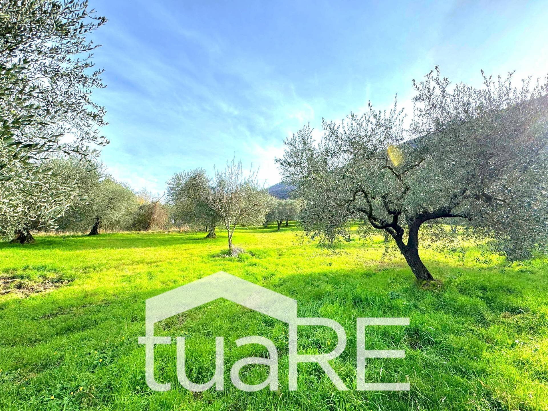 Foto 3 - Terreno edificabile via di valle caprara, Castel Madama - foto 3