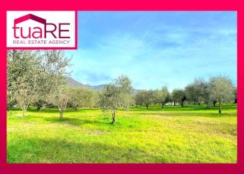 Foto 1 - Terreno edificabile via di valle caprara, Castel Madama - foto 1