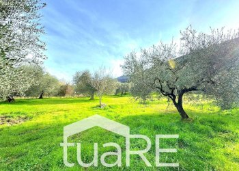 Foto 3 - Terreno edificabile via di valle caprara, Castel Madama - foto 3