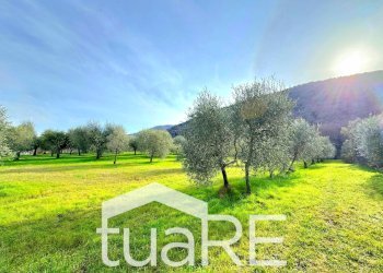 Foto 5 - Terreno edificabile via di valle caprara, Castel Madama - foto 5