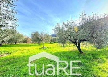 Foto 6 - Terreno edificabile via di valle caprara, Castel Madama - foto 6